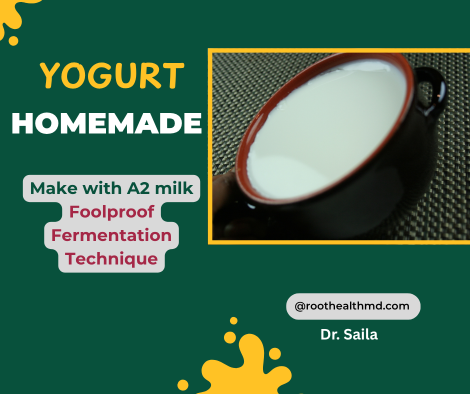 Homemade yogurt, fermented food roothealthmd doctor Saila